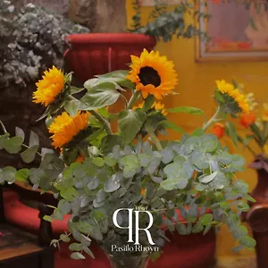 Hotel Pasillo Rholyn